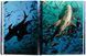 Книга Michael Muller. Sharks, Face-to-Face with the Ocean's Endangered Predator - додаткове зображення номер 7