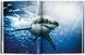 Книга Michael Muller. Sharks, Face-to-Face with the Ocean's Endangered Predator - додаткове зображення номер 6