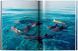 Книга Michael Muller. Sharks, Face-to-Face with the Ocean's Endangered Predator - додаткове зображення номер 3