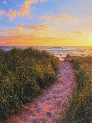 Книга Sunset Beach - обкладинка