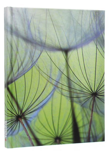 Книга Dandelion Seeds - обкладинка