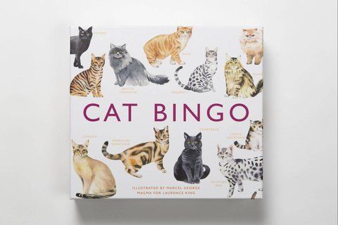 Книга Cat Bingo - обкладинка