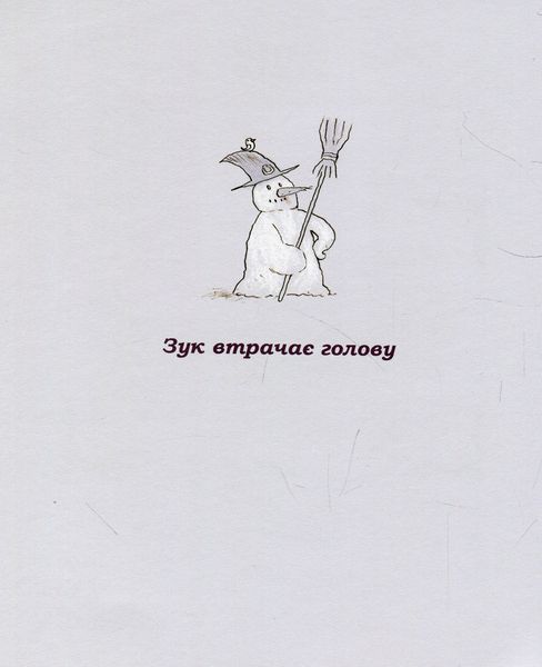 Книга Зук. Небезпечна для суспільства. Друга книга пригод - обкладинка