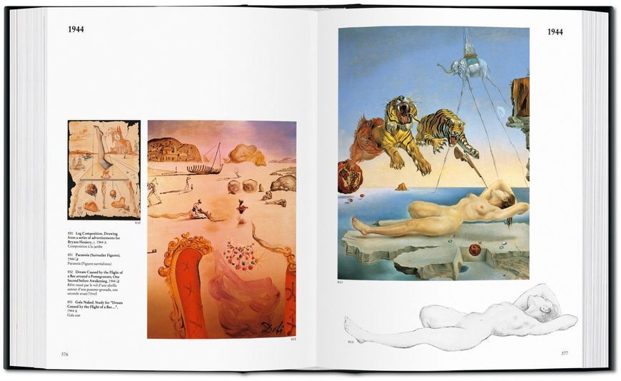 Книга Salvador Dali. The Paintings - обкладинка