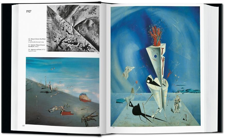 Книга Salvador Dali. The Paintings - обкладинка