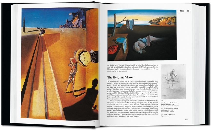 Книга Salvador Dali. The Paintings - обкладинка