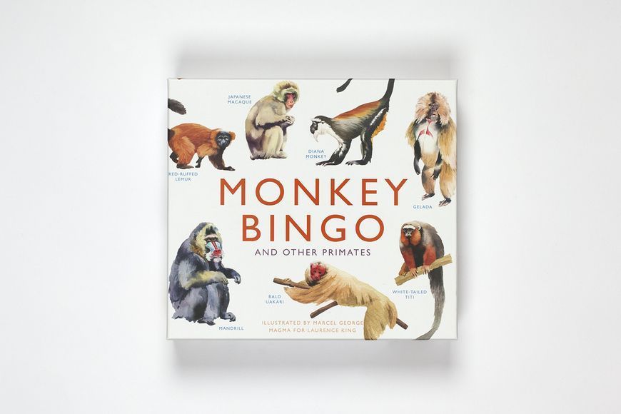 Книга Monkey Bingo - обкладинка