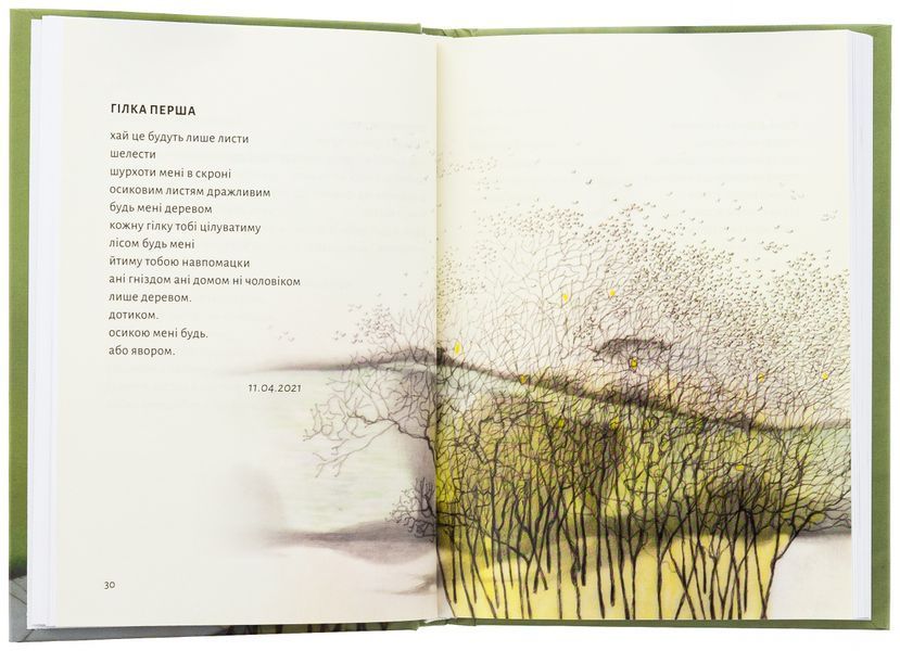 Книга Замість яблук - обкладинка