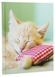 Книга Kitten - додаткове зображення номер 3