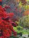 Книга Japanese Garden - додаткове зображення номер 2