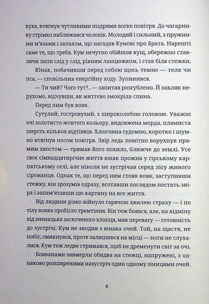 Книга Тамдевін. Бора - обкладинка