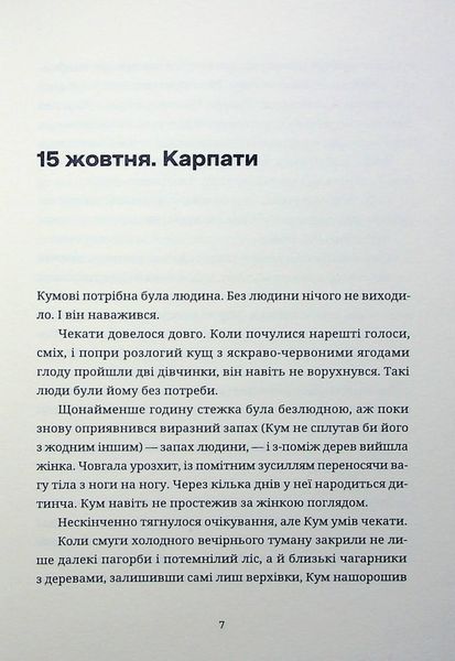 Книга Тамдевін. Бора - обкладинка