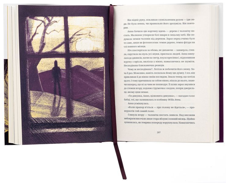 Книга Тамдевін. Бора - обкладинка