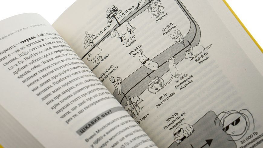 Книга Страшне, прекрасне та потворне в Чорнобилі - обкладинка