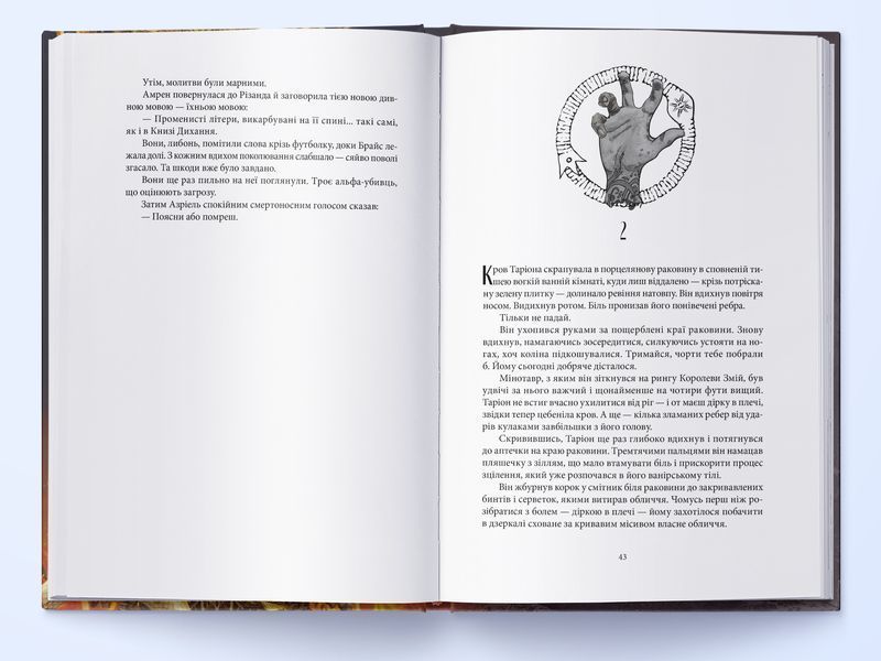 Книга Дім Полум'я та Тіні - обкладинка