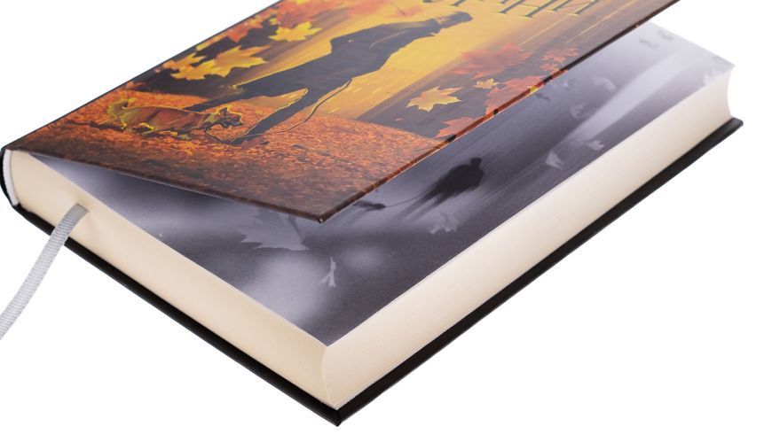 Книга Жовті цеглини - обкладинка