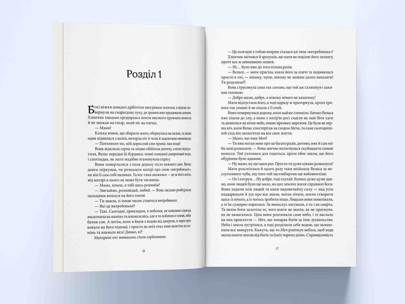 Книга Злодій - обкладинка