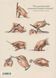 Книга Atlas of Human Anatomy and Surgery - додаткове зображення номер 2